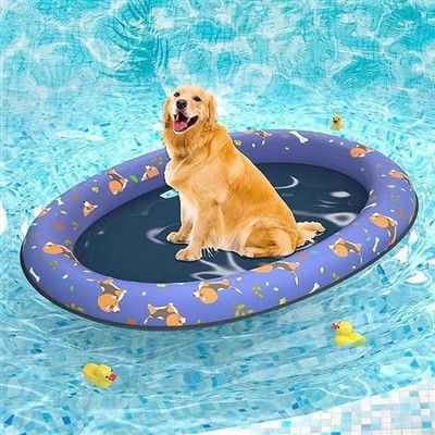 Inflatable Cat Pool Float