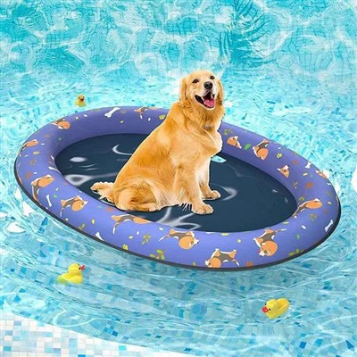 Inflatable Dog Float