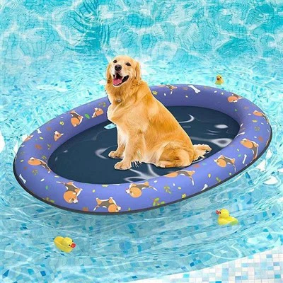 Inflatable Pet Float for Small Dogs